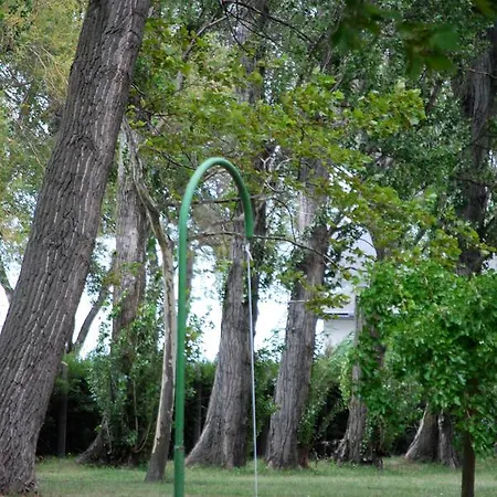 酒店 Park 巴拉通雷勒
